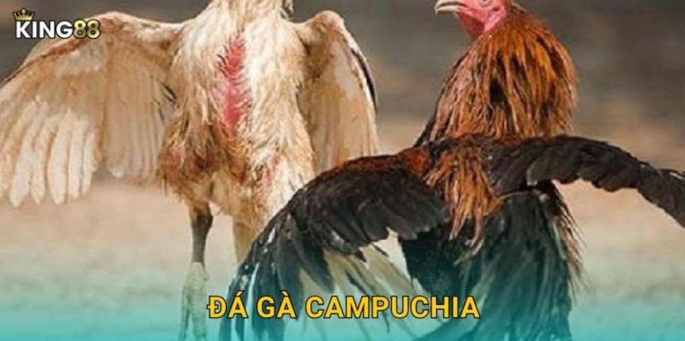 Hình thức cược và tham gia phổ biến tại KING88